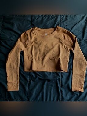 OFFLINE Rust-Colored Seamless Cropped Long Sleeve Shirt